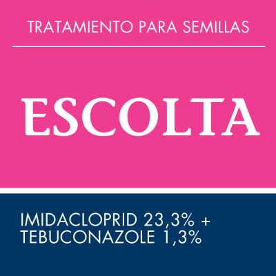 Escolta