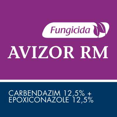 Avizor RM