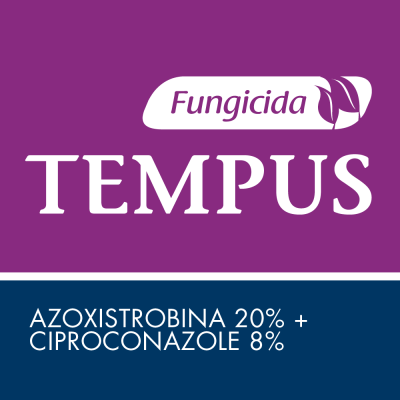 Tempus