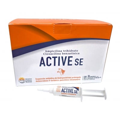 Active SE