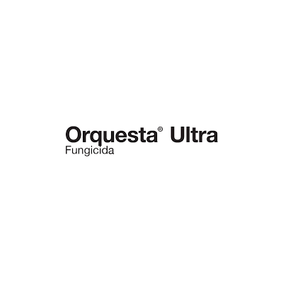 Orquesta