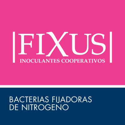 Fixus ACA