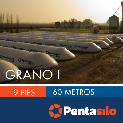 Pentasilo Grano I