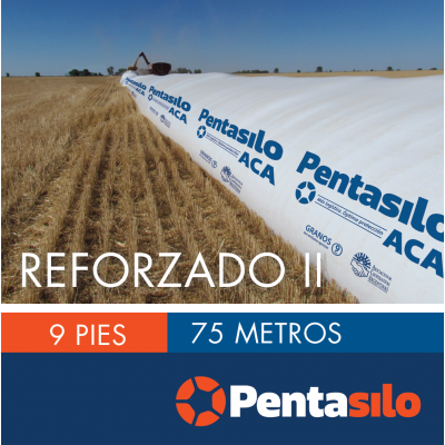 Pentasilo Reforzado II