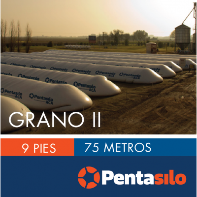 Pentasilo Grano II