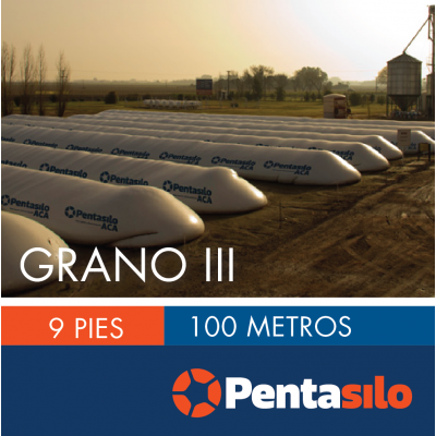 Pentasilo Grano III