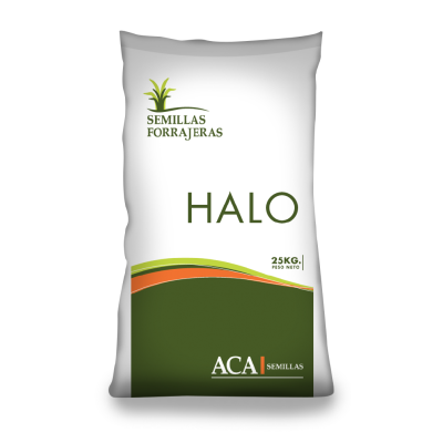Halo