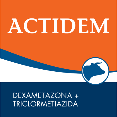 Actidem