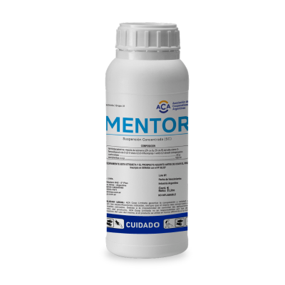 Mentor
