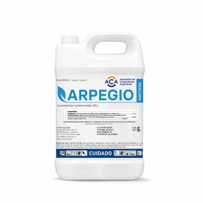 Arpegio