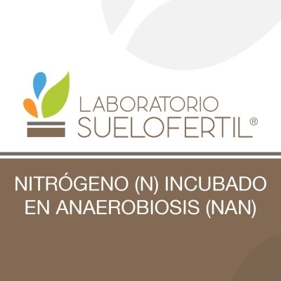  Nitrógeno (N) incubado en anaerobiosis (Nan) 