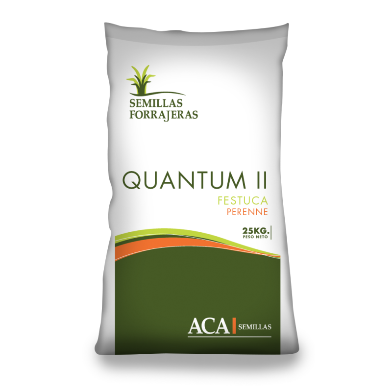 Quantum II