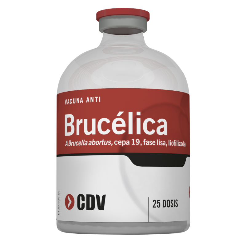 CDV Brucelica