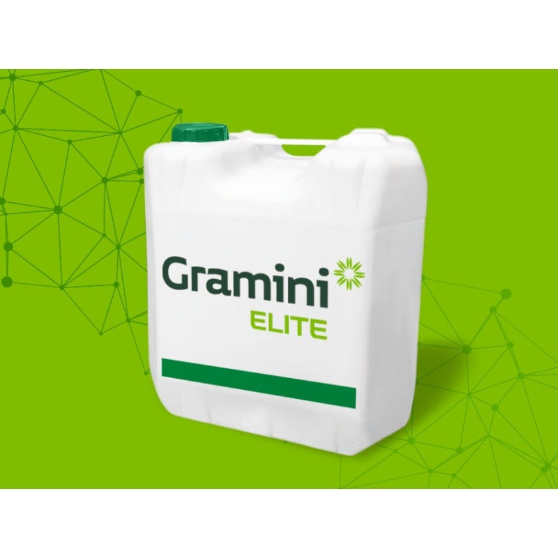 Gramini Elite