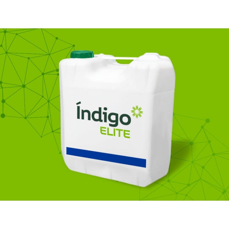 Indigo Elite