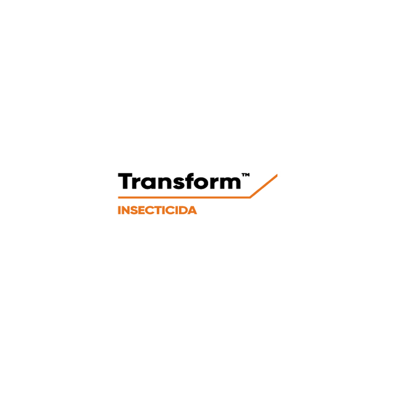 Transform WG
