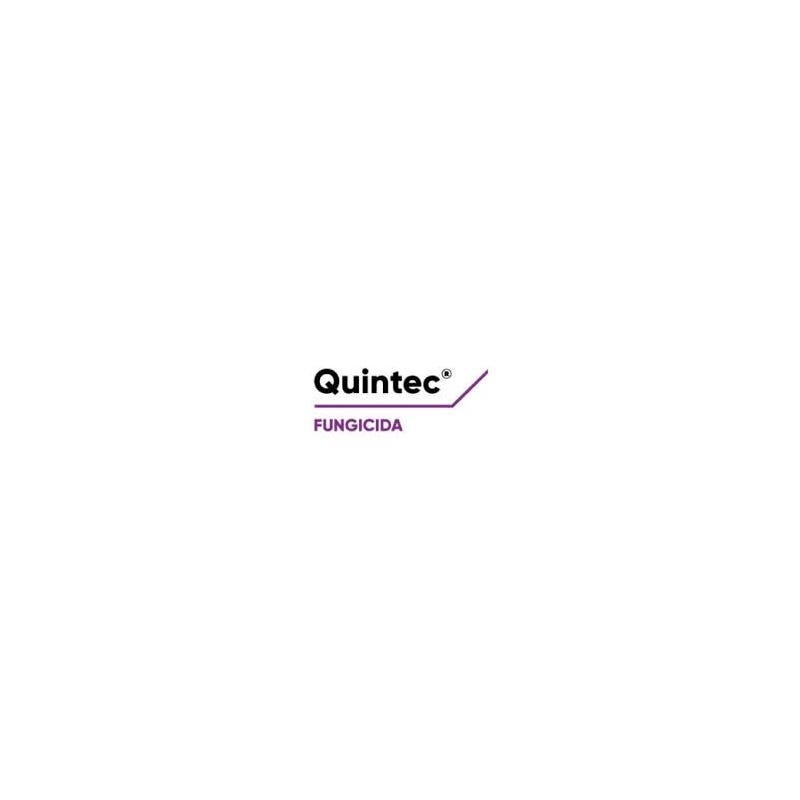 Quintec