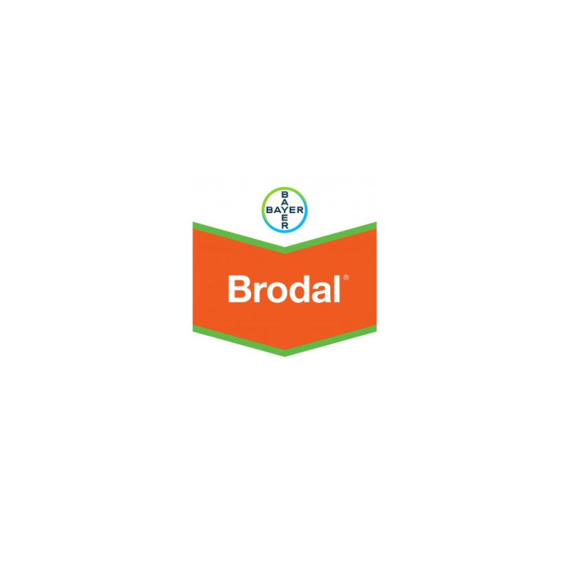 Brodal
