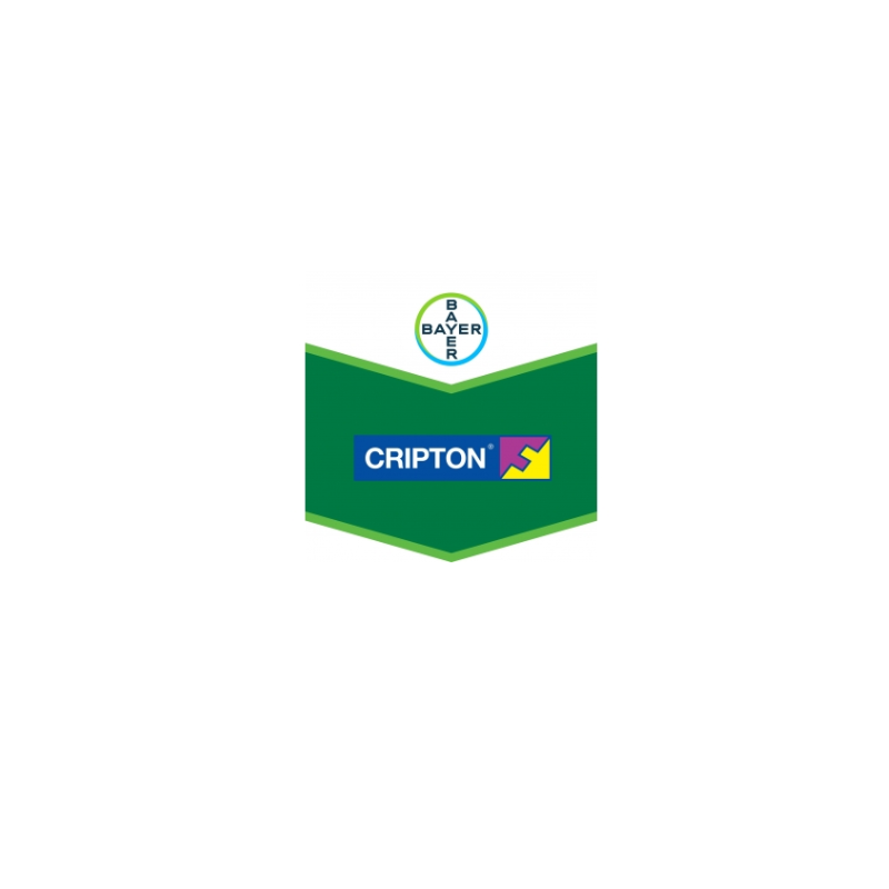 Cripton