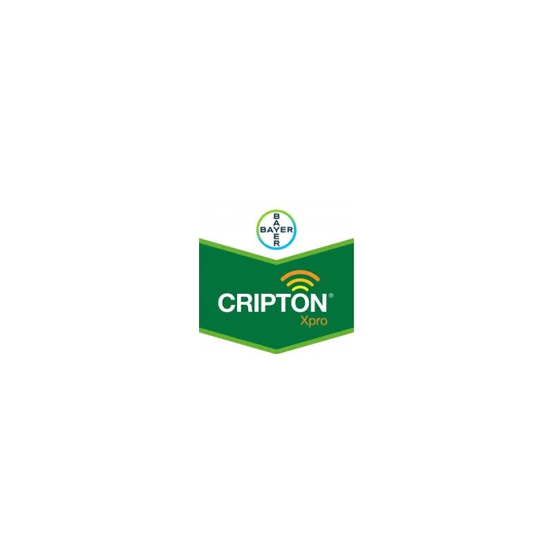 Cripton Xpro