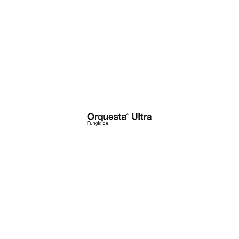 Orquesta