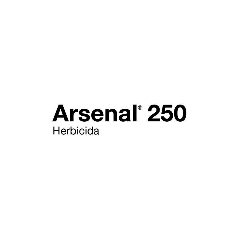 Arsenal 250