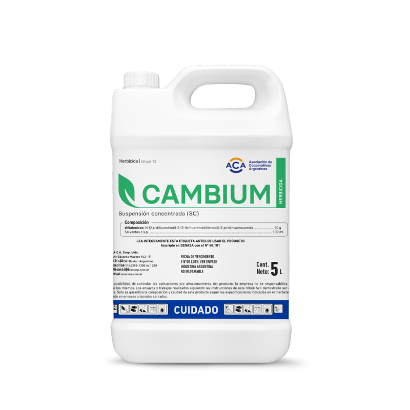 Cambium
