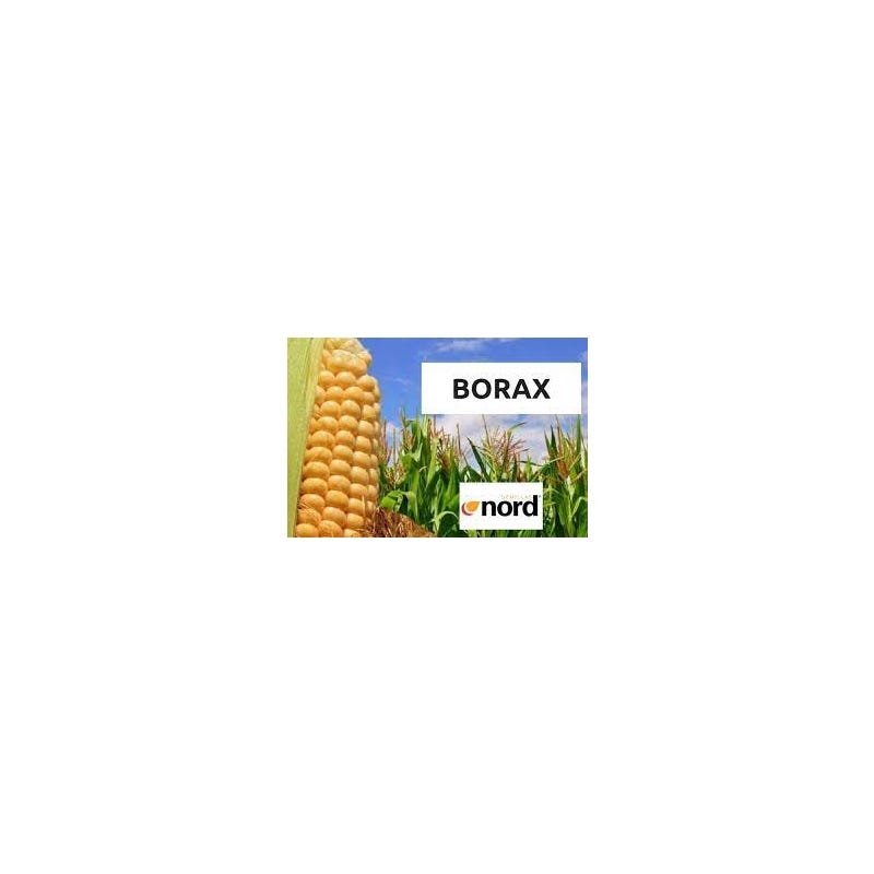 BORAX PW ULTRA (Banda 1)