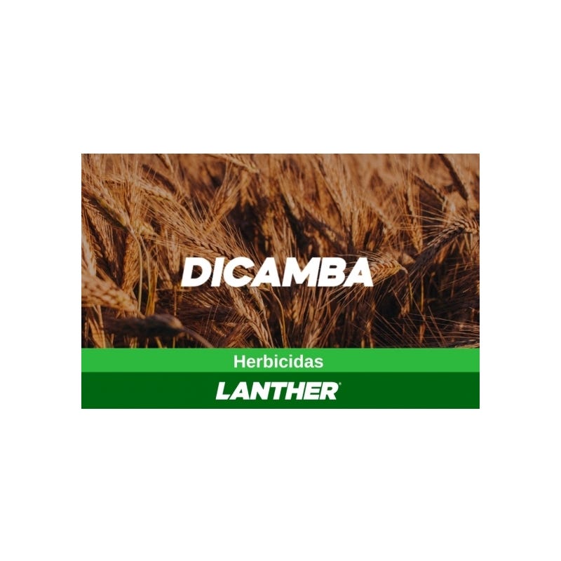 Dicamba LQ