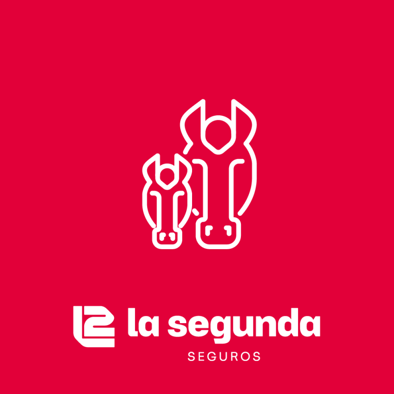 Seguro Potrillo Nacido Vivo
