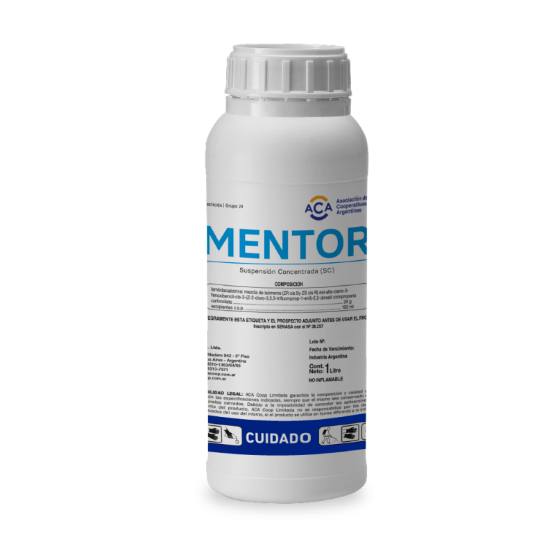Mentor