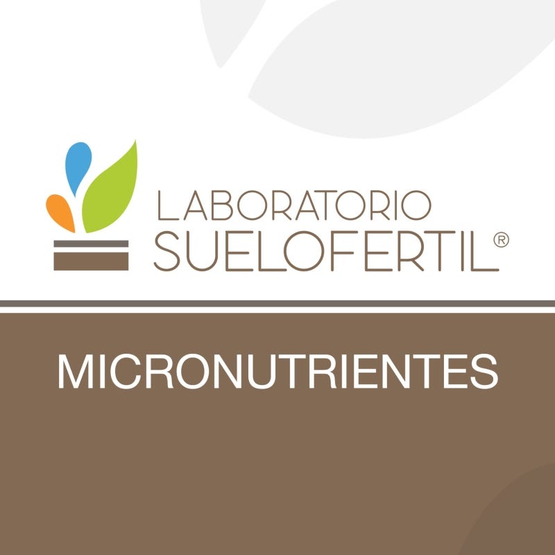 Análisis de Suelo - Micronutrientes